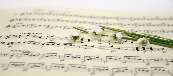 music-ga0751d08b_640